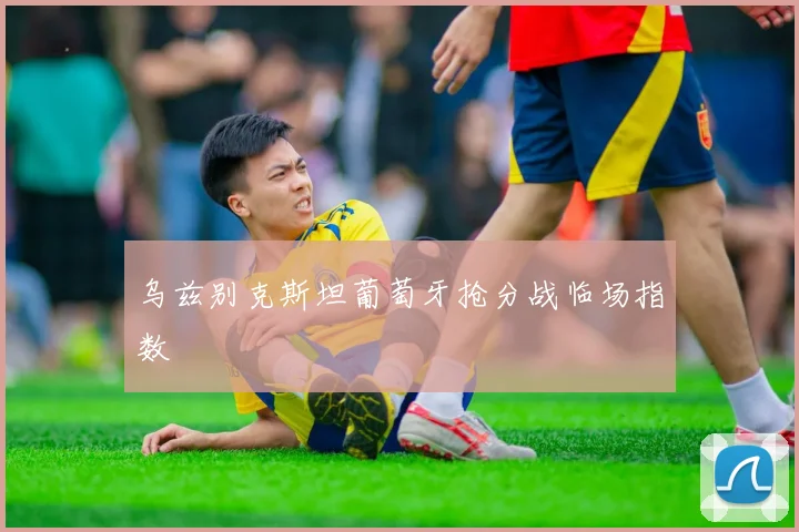 乌兹别克斯坦葡萄牙抢分战临场指数