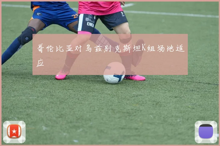 哥伦比亚对乌兹别克斯坦K组场地适应