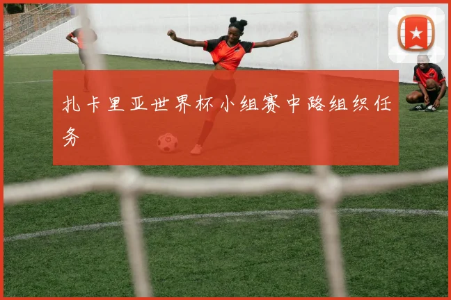 扎卡里亚世界杯小组赛中路组织任务