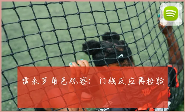雷米罗角色观察：门线反应再检验